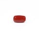 Red Coral - 4.8 Carat - Pramogh