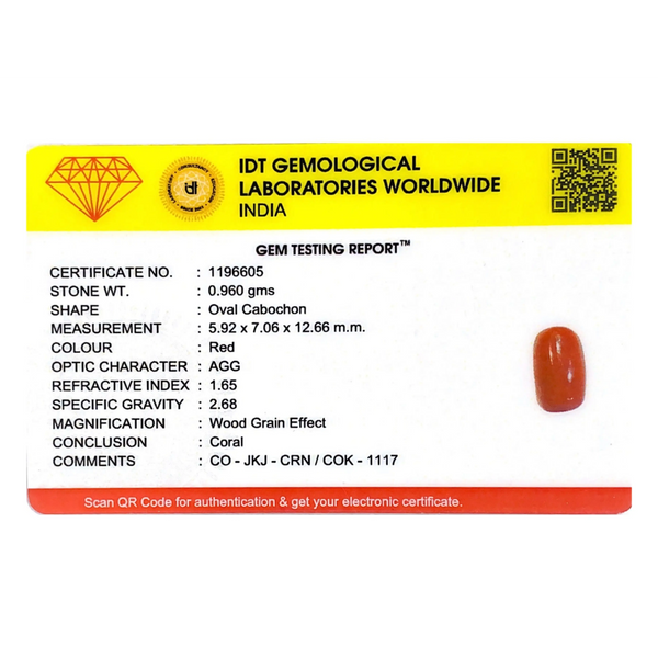Red Coral - 4.8 Carat