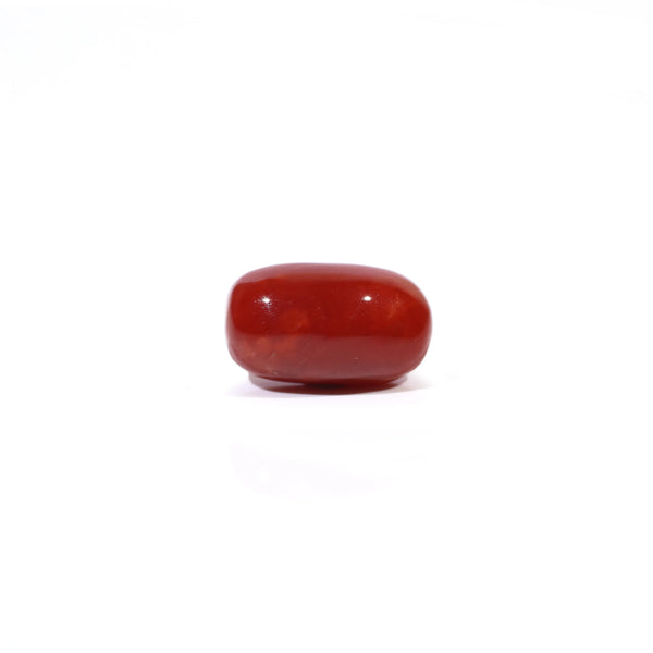 Red Coral - 4.63 Carat - Pramogh