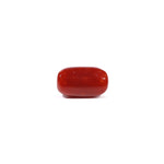 Red Coral - 4.63 Carat
