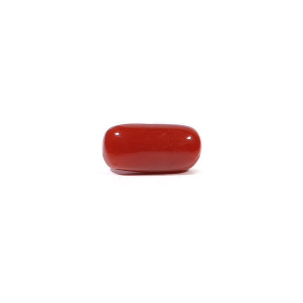 Red Coral - 4.96 Carat - Pramogh
