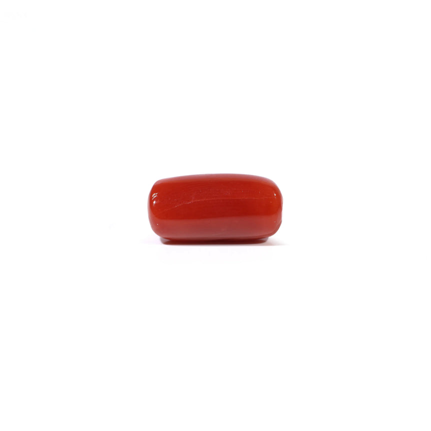 Red Coral - 4.96 Carat