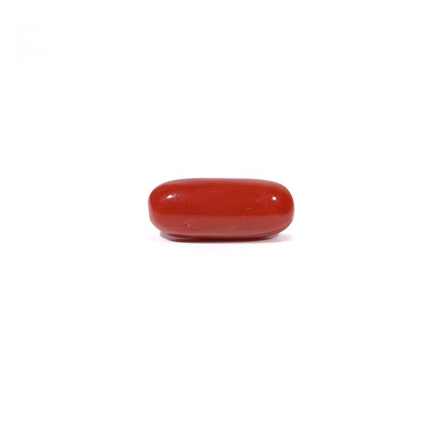 Red Coral - 4.96 Carat - Pramogh