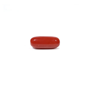 Red Coral - 4.96 Carat - Pramogh