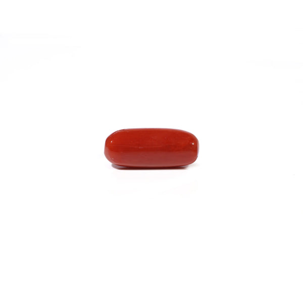 Red Coral - 4.96 Carat