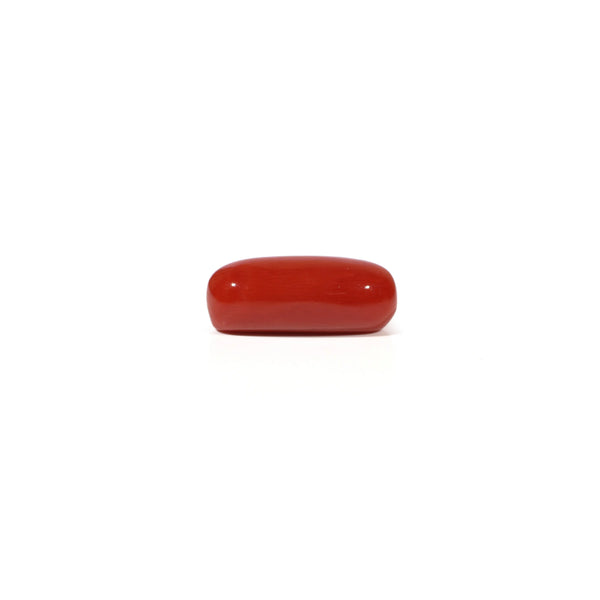 Red Coral - 4.96 Carat