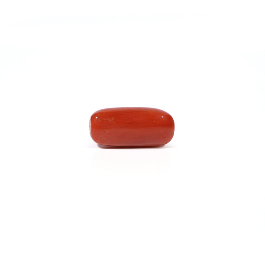 Red Coral - 4.95 Carat