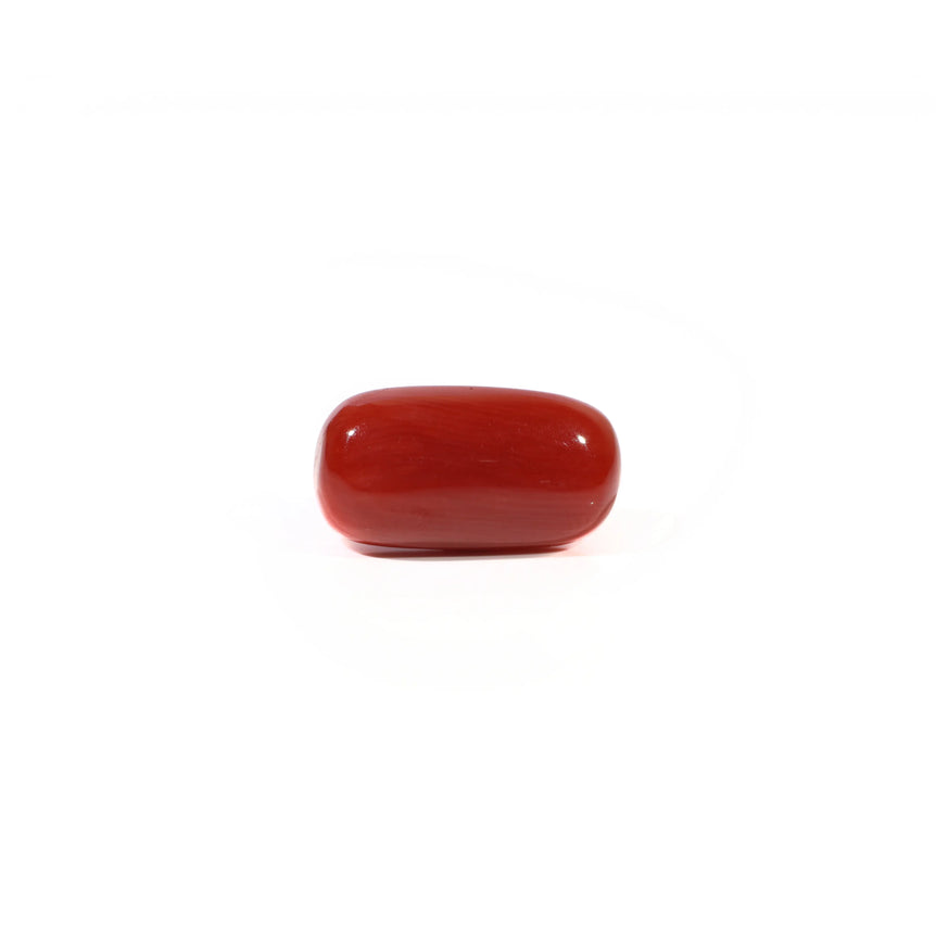 Red Coral - 4.69 Carat - Pramogh