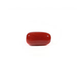 Red Coral - 4.69 Carat - Pramogh