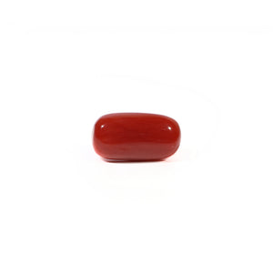 Red Coral - 4.69 Carat - Pramogh