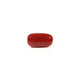 Red Coral - 4.69 Carat - Pramogh