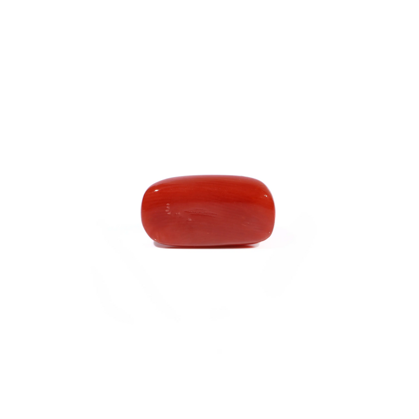 Red Coral - 4.69 Carat