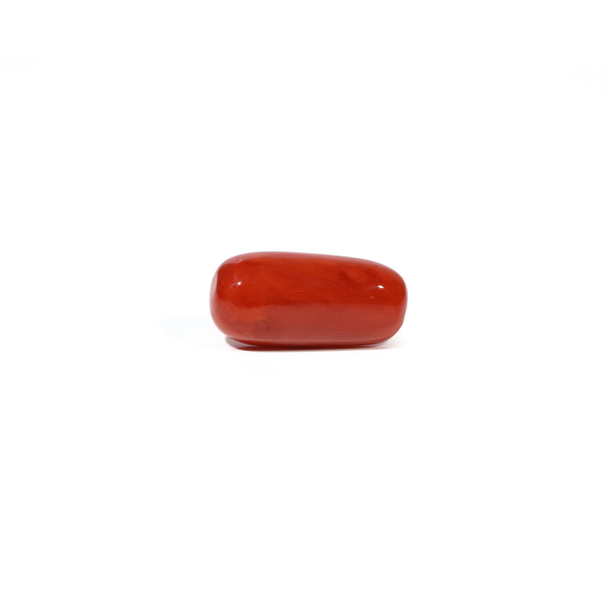 Red Coral - 4.73 Carat - Pramogh