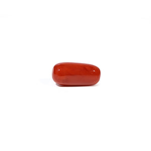 Red Coral - 4.73 Carat - Pramogh