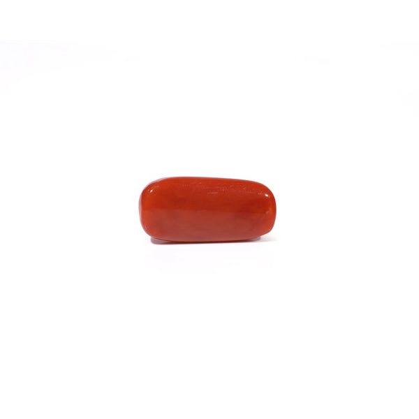 Red Coral - 4.73 Carat