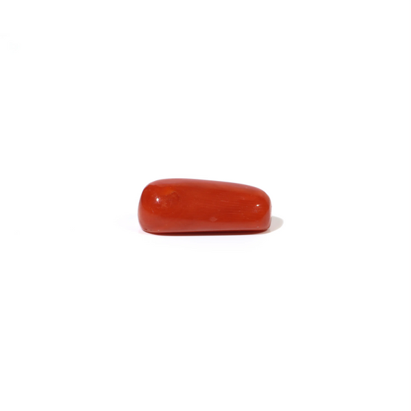 Red Coral - 4.73 Carat