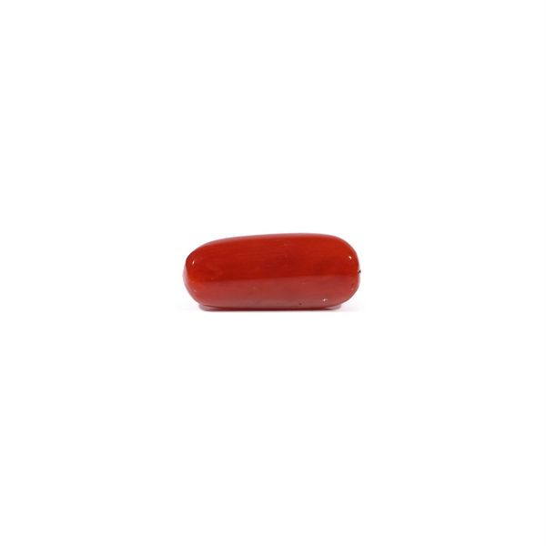 Red Coral - 4.62 Carat