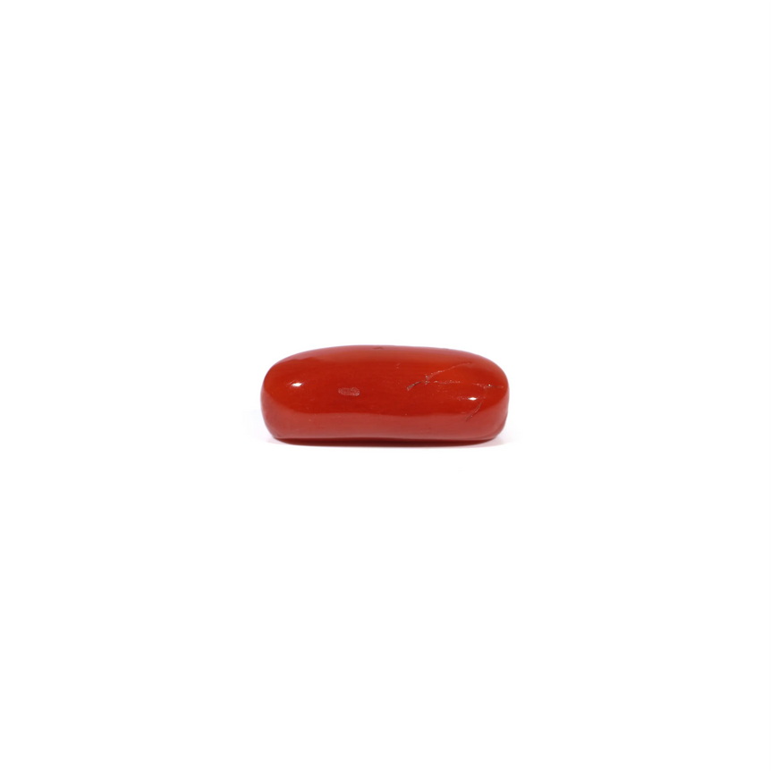 Red Coral - 4.62 Carat