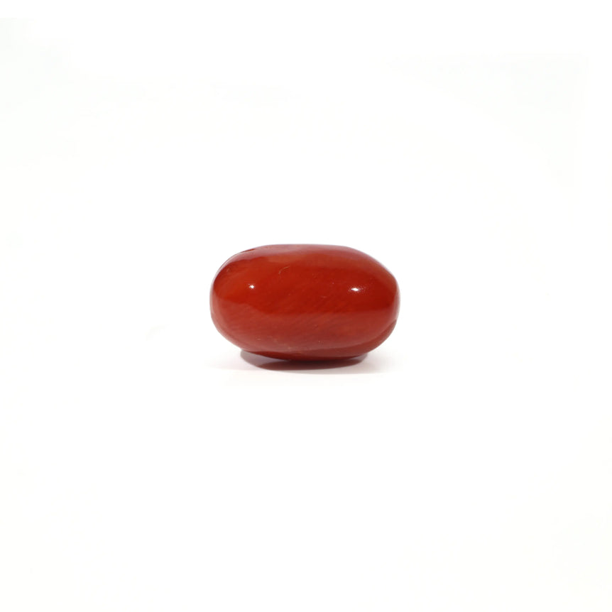 Red Coral - 4.93 Carat - Pramogh