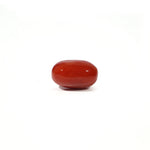 Red Coral - 4.93 Carat - Pramogh