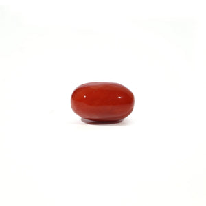 Red Coral - 4.93 Carat - Pramogh