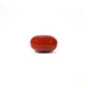 Red Coral - 4.93 Carat - Pramogh