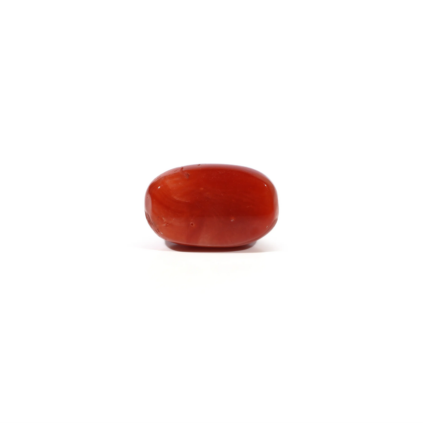 Red Coral - 4.93 Carat