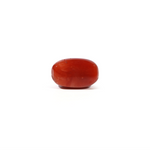 Red Coral - 4.93 Carat