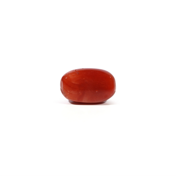 Red Coral - 4.93 Carat
