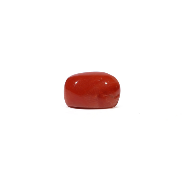 Red Coral - 4.93 Carat