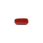 Red Coral - 5.23 Carat - Pramogh