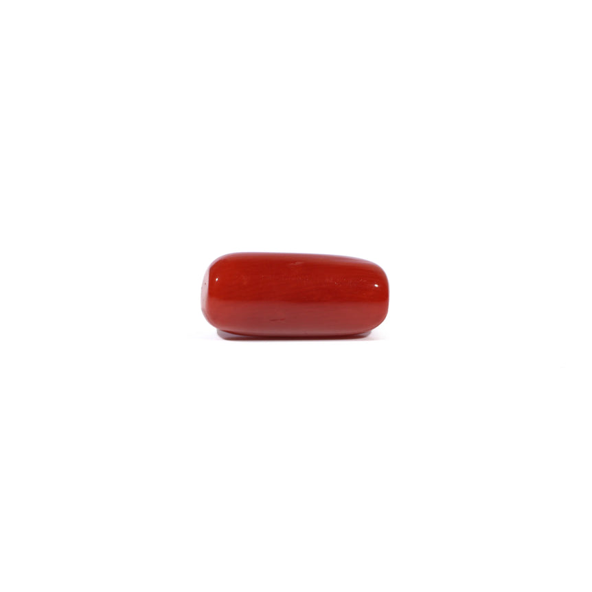 Red Coral - 5.23 Carat