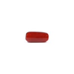 Red Coral - 5.23 Carat