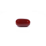 Red Coral - 4.55 Carat - Pramogh