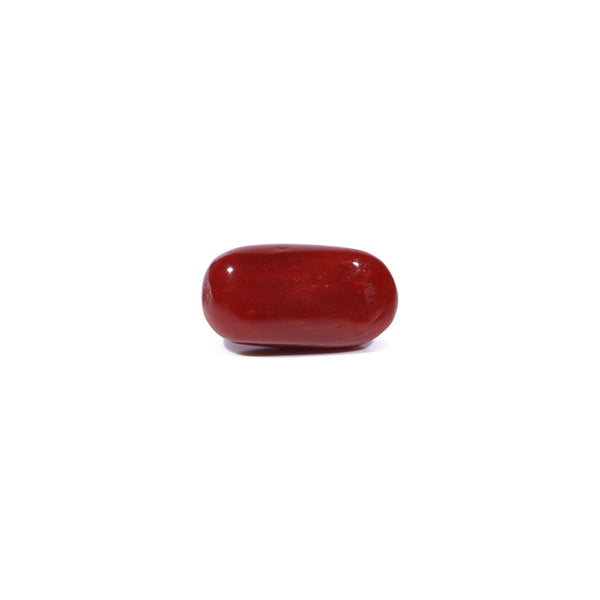 Red Coral - 4.55 Carat