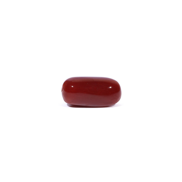 Red Coral - 4.55 Carat