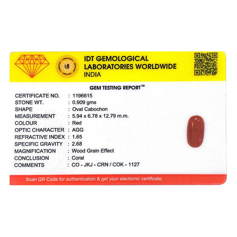 Red Coral - 4.55 Carat