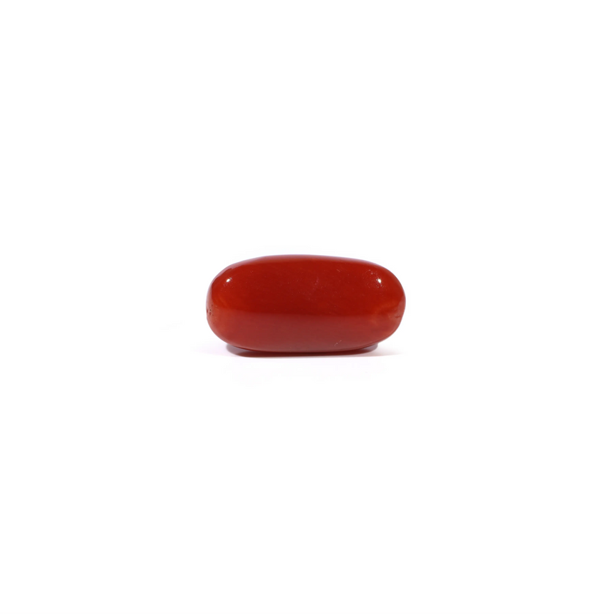 Red Coral - 5.1 Carat