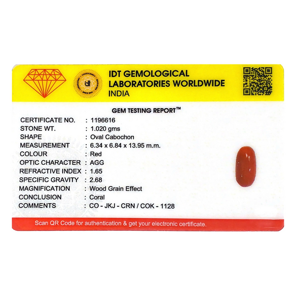 Red Coral - 5.1 Carat