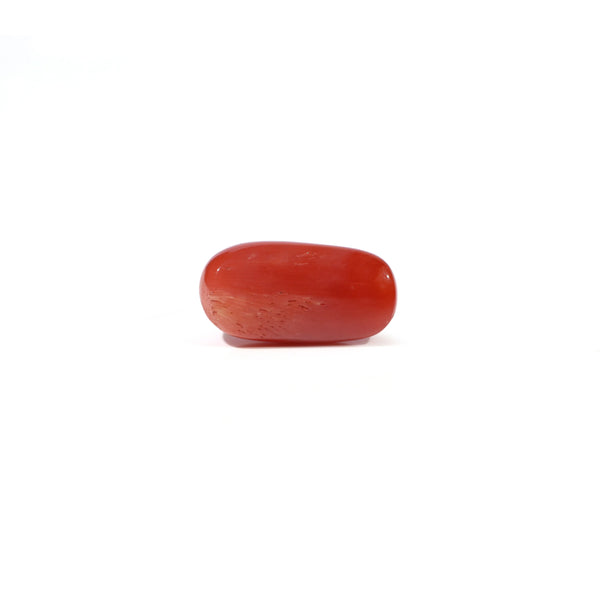 Red Coral - 4.5 Carat