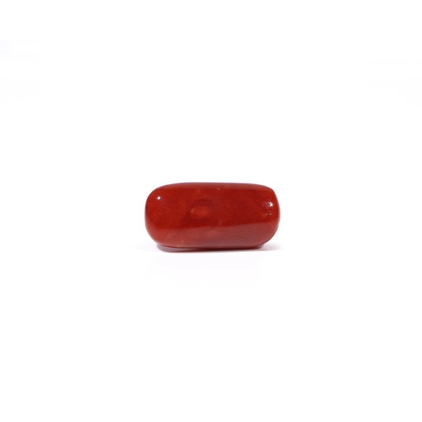Red Coral - 4.8 Carat