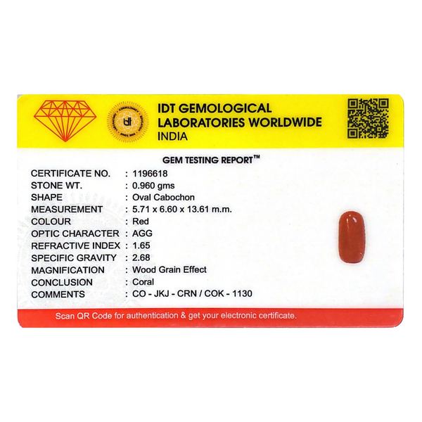 Red Coral - 4.8 Carat