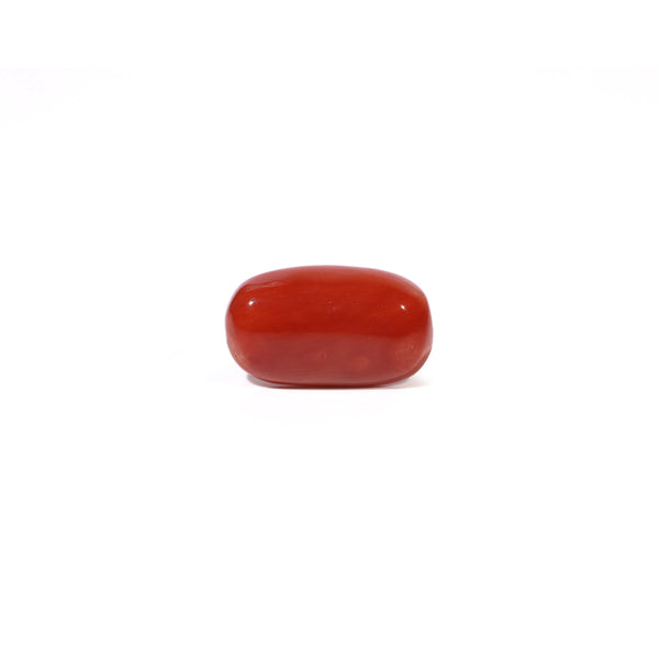 Red Coral - 4.67 Carat - Pramogh