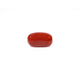 Red Coral - 4.67 Carat - Pramogh