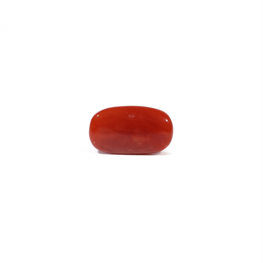 Red Coral - 4.67 Carat