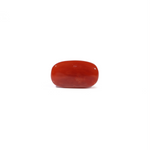 Red Coral - 4.67 Carat