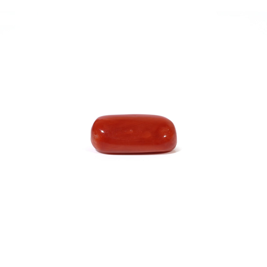 Red Coral - 4.67 Carat