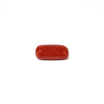 Red Coral - 4.67 Carat