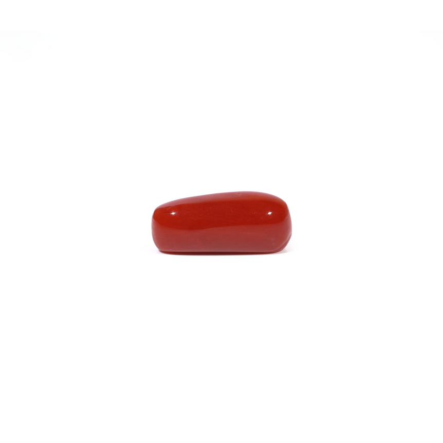 Red Coral - 4.56 Carat