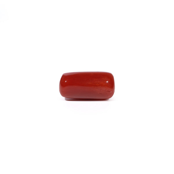 Red Coral - 4.61 Carat - Pramogh